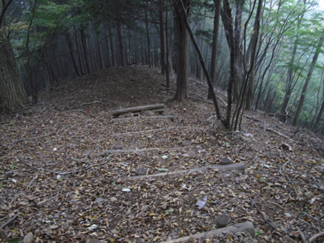 20151021hike (102)